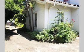 Elegant Spacious Private Studio ~ Upscale Berkeley